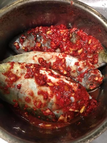 20200826東引高梁 (7).jpg - 2020品酒誌