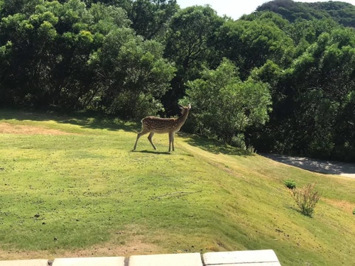 20200723大坵島 (14).jpg - 2020-7卡蹓馬祖