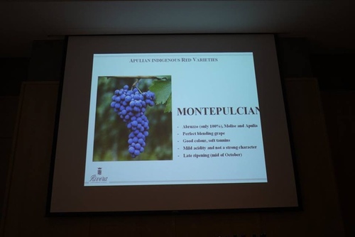 20151128 酒神南義 (13).jpg - 2015年品酒誌