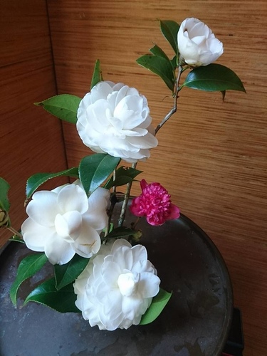 20161218秘境品酒 (4).jpg - 2016年品酒誌