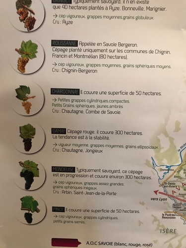 20190712安錫品酒 (39).jpg - 2019醉飲法奧瑞