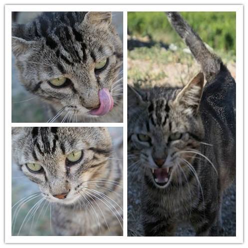 20170705雷神索爾酒莊 (23).jpg - 2017醉飲法義