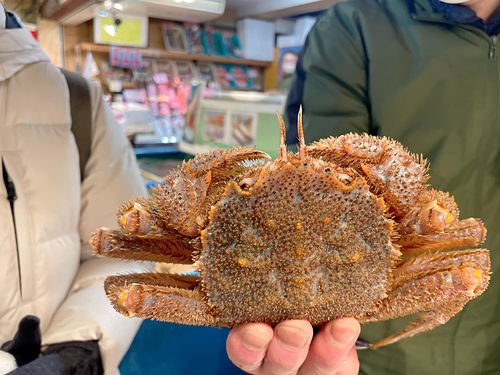 20230209 北海道 (6).jpg - 2023日本旅遊