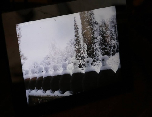 39 20150209u5c3cu65afu73bbu7483u74f6u9152u5e84(u9152u5e848)07.jpg - u9189u98f2u5357u6cd5