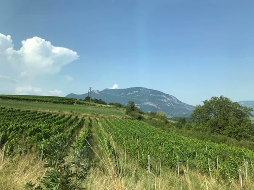 20190724威景海盜酒莊 (19).jpg - 2019醉飲法奧瑞