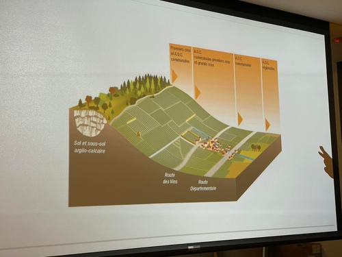 20220903 (11).jpg - 2022品酒誌