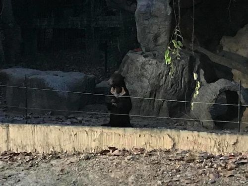 0207-6 (10).jpg - 2018清邁食旅記