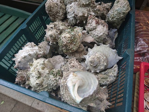 20160501江之島美食 (11).jpg - 2016年品酒誌