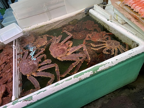 2023 北海道 22 (4).jpg - 2023日本旅遊