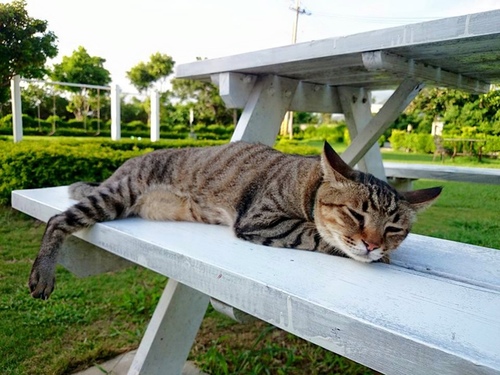 20150702 u7d50u5a5au6176 u51f1u6b4cu9999u6ab3 (3).jpg - 2015u5e74u54c1u9152u8a8c