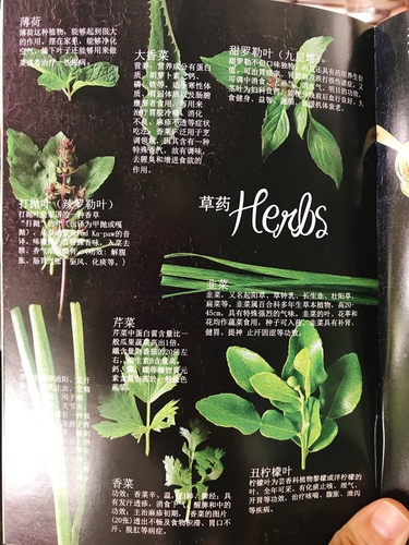 20180713-2(76).jpg - 2018泰北放暑假