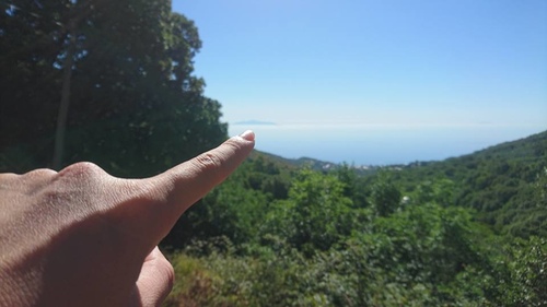 20170706永久花工廠 (18).jpg - 2017醉飲法義