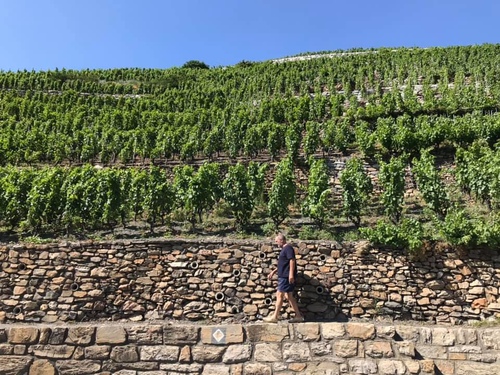 20190719歐洲最高葡萄園 (6).jpg - 2019醉飲法奧瑞