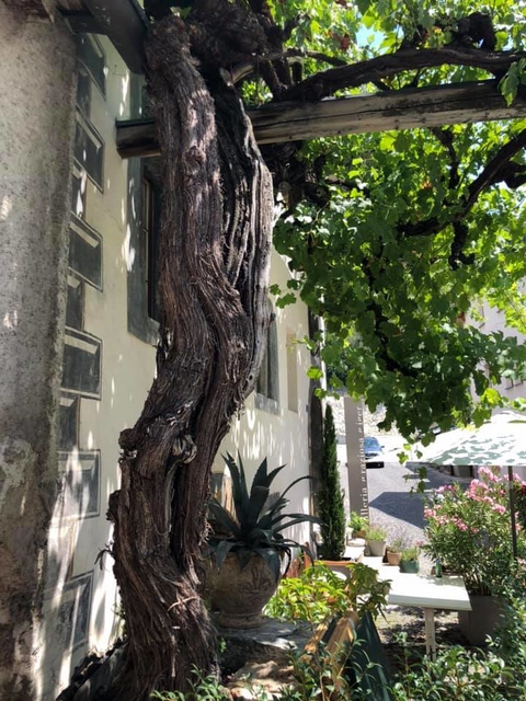 20190720瑞士手做酒莊 (32).jpg - 2019醉飲法奧瑞