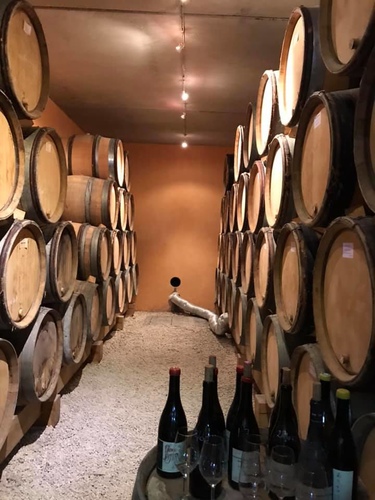 20191023布根地兄弟酒莊 (25).jpg - 2019醉飲法奧瑞