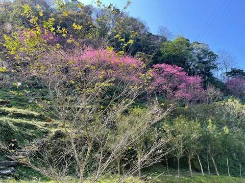 20210130 (21).jpg - 2021品酒誌