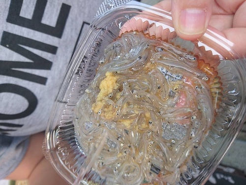 20160501江之島美食 (4).jpg - 2016年品酒誌