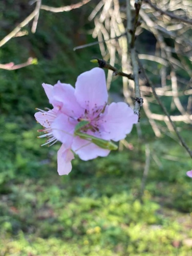 20210130 (11).jpg - 2021品酒誌