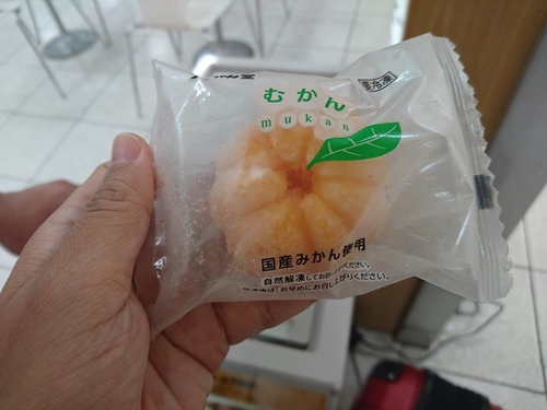 1-12 鹿兒島便當 (2).jpg - 2016慢遊九州