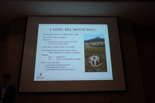 20151128 酒神南義 (11).jpg - 2015年品酒誌