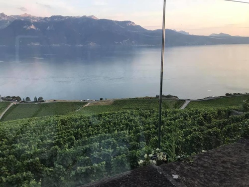 20190721 日內瓦葡萄園 (12).jpg - 2019醉飲法奧瑞