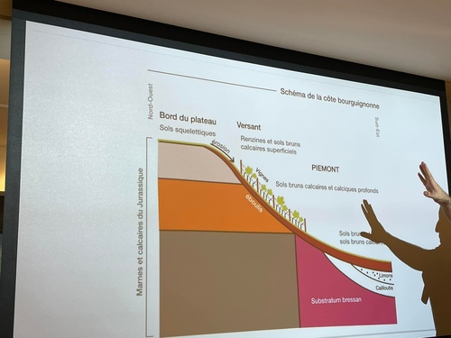 20220903 (8).jpg - 2022品酒誌