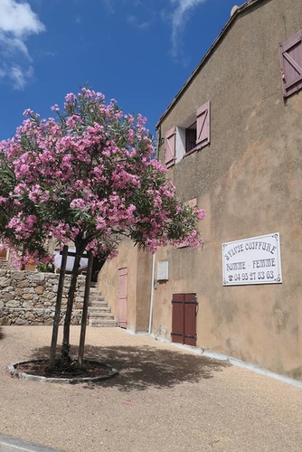 20170702 世界遺產 (9).jpg - 2017醉飲法義