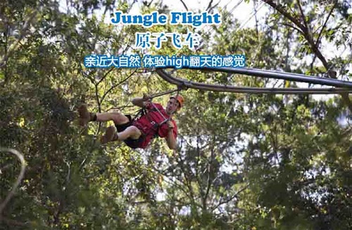 0205-2 (20).jpg - 2018清邁食旅記