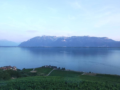 20190721 日內瓦葡萄園 (14).jpg - 2019醉飲法奧瑞