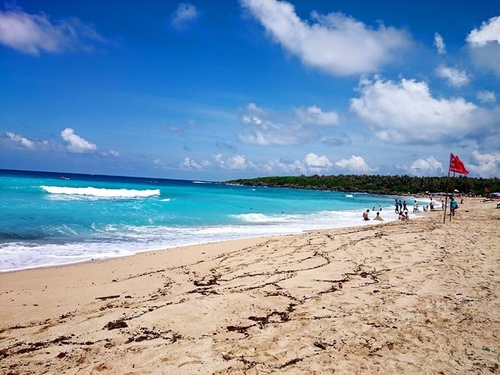 20150703u7d50u5a5au6176 u6d6au82b1u914du9999u6ab3 (26).jpg - 2015u5e74u54c1u9152u8a8c