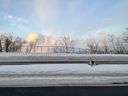 20230204 2-1 (9).jpg - 2023日本旅遊