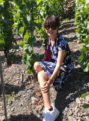 20190719歐洲最高葡萄園 (1).jpg - 2019醉飲法奧瑞