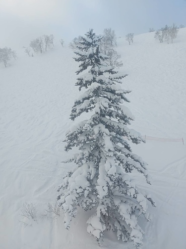 2023北海道10 (10).jpg - 2023日本旅遊