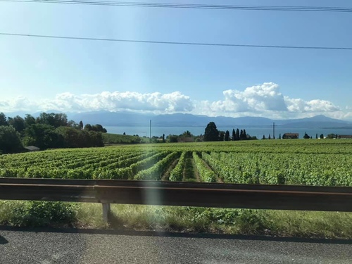 20190713七百里長征一 (4).jpg - 2019醉飲法奧瑞