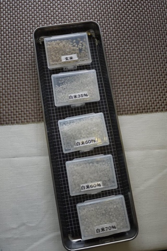 20170704 2-1 (14).jpg - 2016慢遊九州