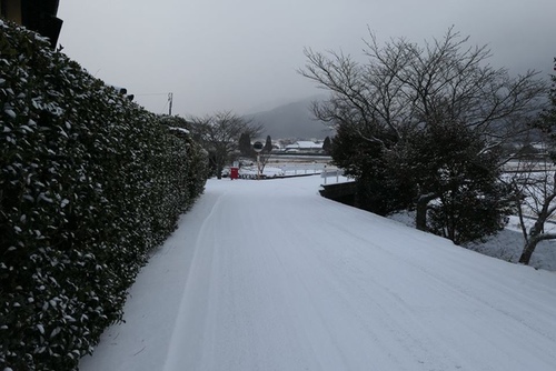 20170123雪前早餐 (19).jpg - 2017北九州溫泉
