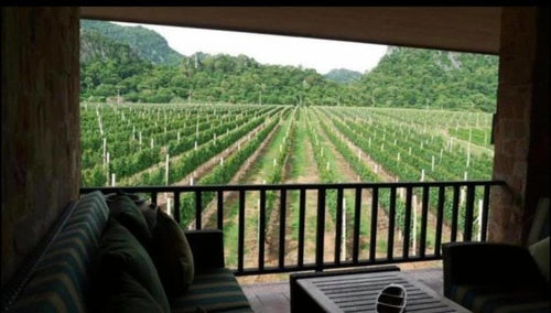 20210430 (7).jpg - 2021品酒誌