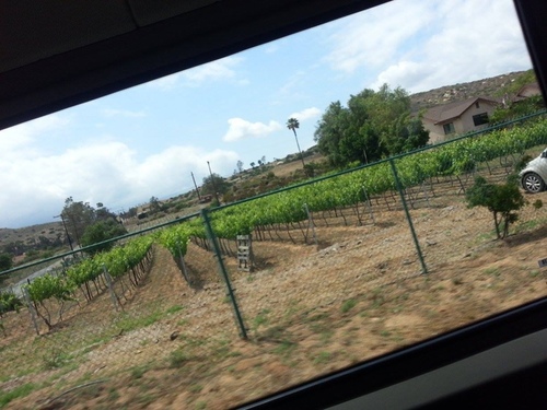 201605150202.jpg - 2016年品酒誌