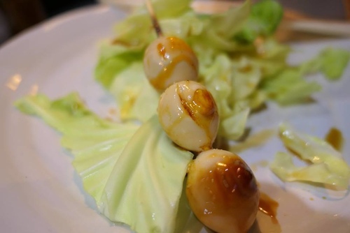 20170120野球鳥 (24).jpg - 2017北九州溫泉