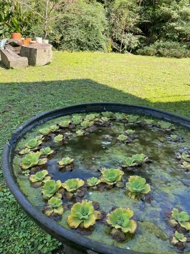 20210130 (17).jpg - 2021品酒誌