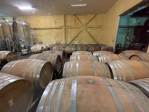 2023北海道20 (6).jpg - 2023日本旅遊