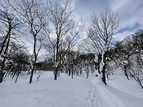 2023北海道 12 (14).jpg - 2023日本旅遊