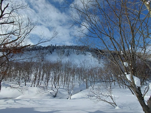 2023北海道 12 (10).jpg - 2023日本旅遊