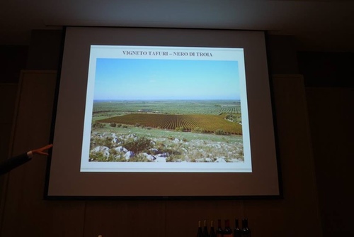 20151128 酒神南義 (24).jpg - 2015年品酒誌