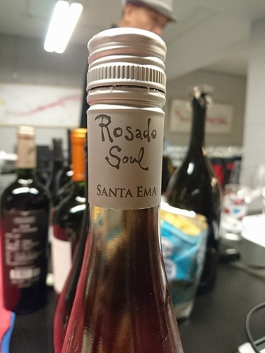 20160326梧桐沙龍智利品酒會 (6).jpg - 2016年品酒誌