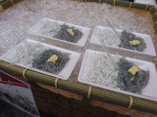 20160501江之島美食 (27).jpg - 2016年品酒誌