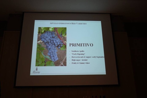 20151128 酒神南義 (14).jpg - 2015年品酒誌