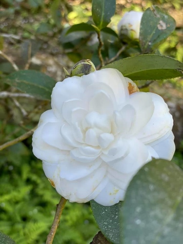 20210130 (14).jpg - 2021品酒誌