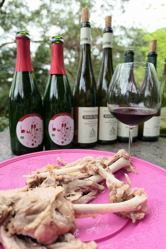 20170311獅頭山林品酒 (26).jpg - 2017年品酒誌