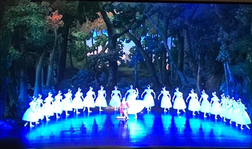 20190905芭蕾一 (17).jpg - 2019年品酒誌